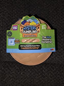 Mystery Dumpling