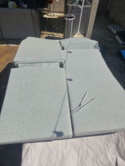 2 chaise lounge cushions. Pick up AZ Ave & Ray