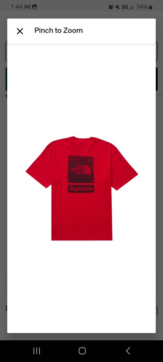 Supreme X The North Face SS24