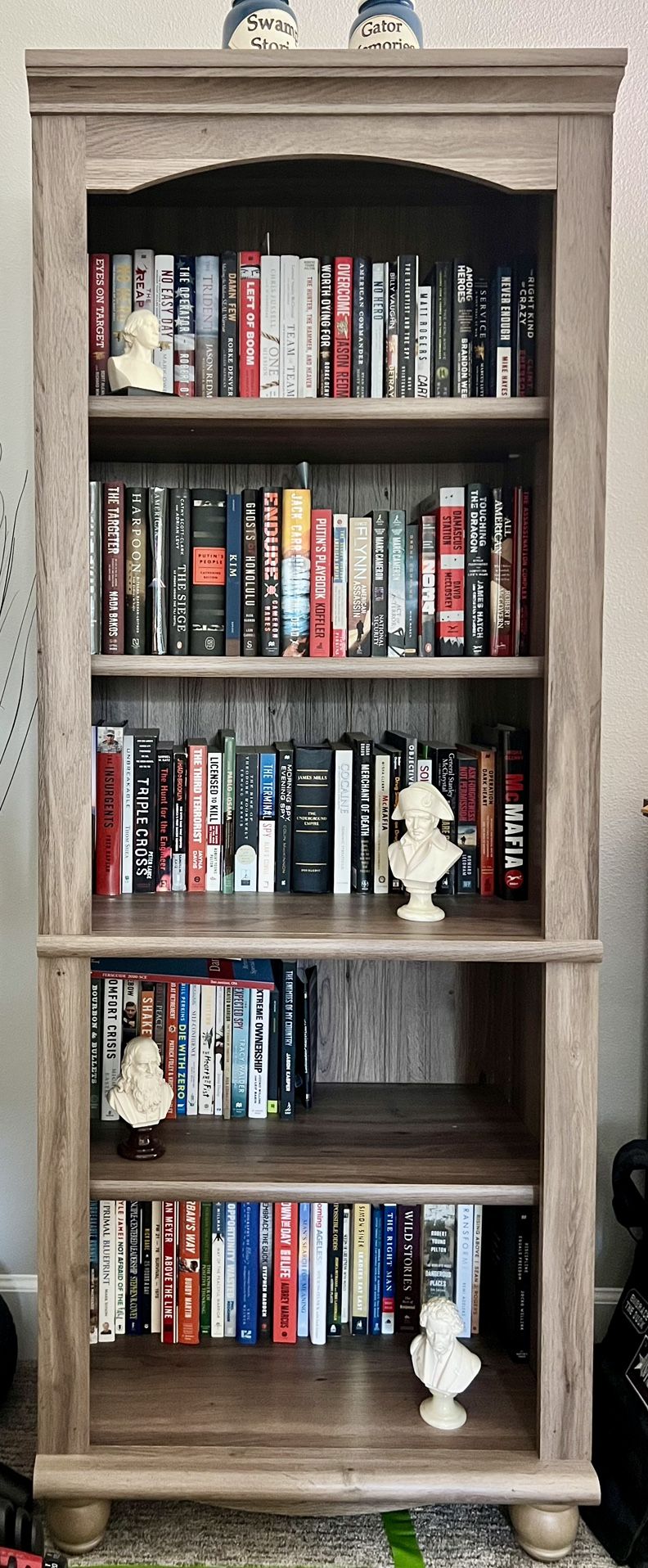 Gray Bookcases