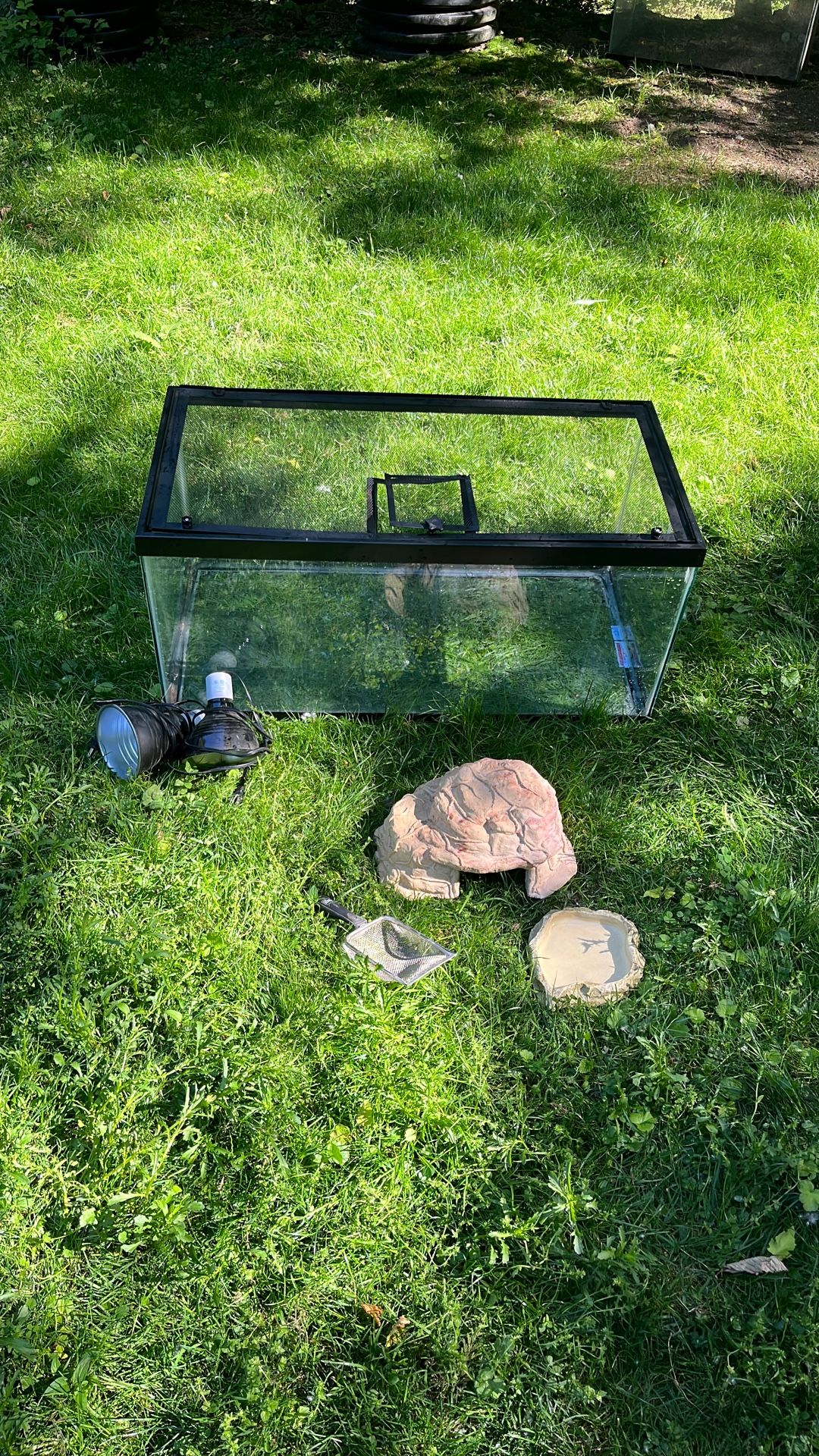 Terrarium