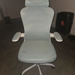 Ergonomic Office Chair (great condition, hardly used)