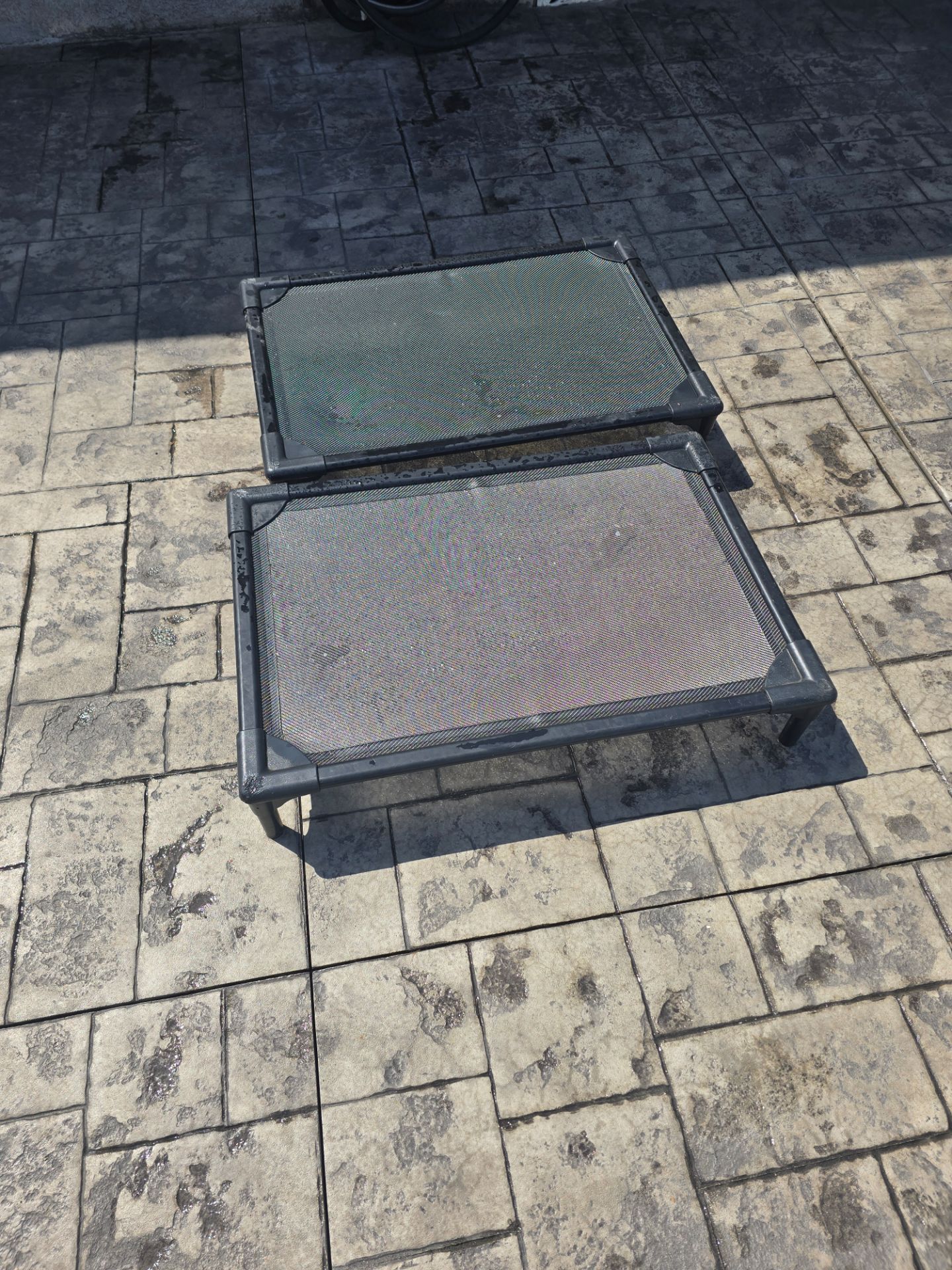 Pet beds raised