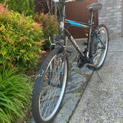 Brand New Man Bike