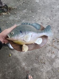 Fish Mount 