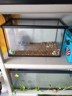 Aquariums