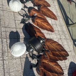 Bohemian Ceiling Fans 