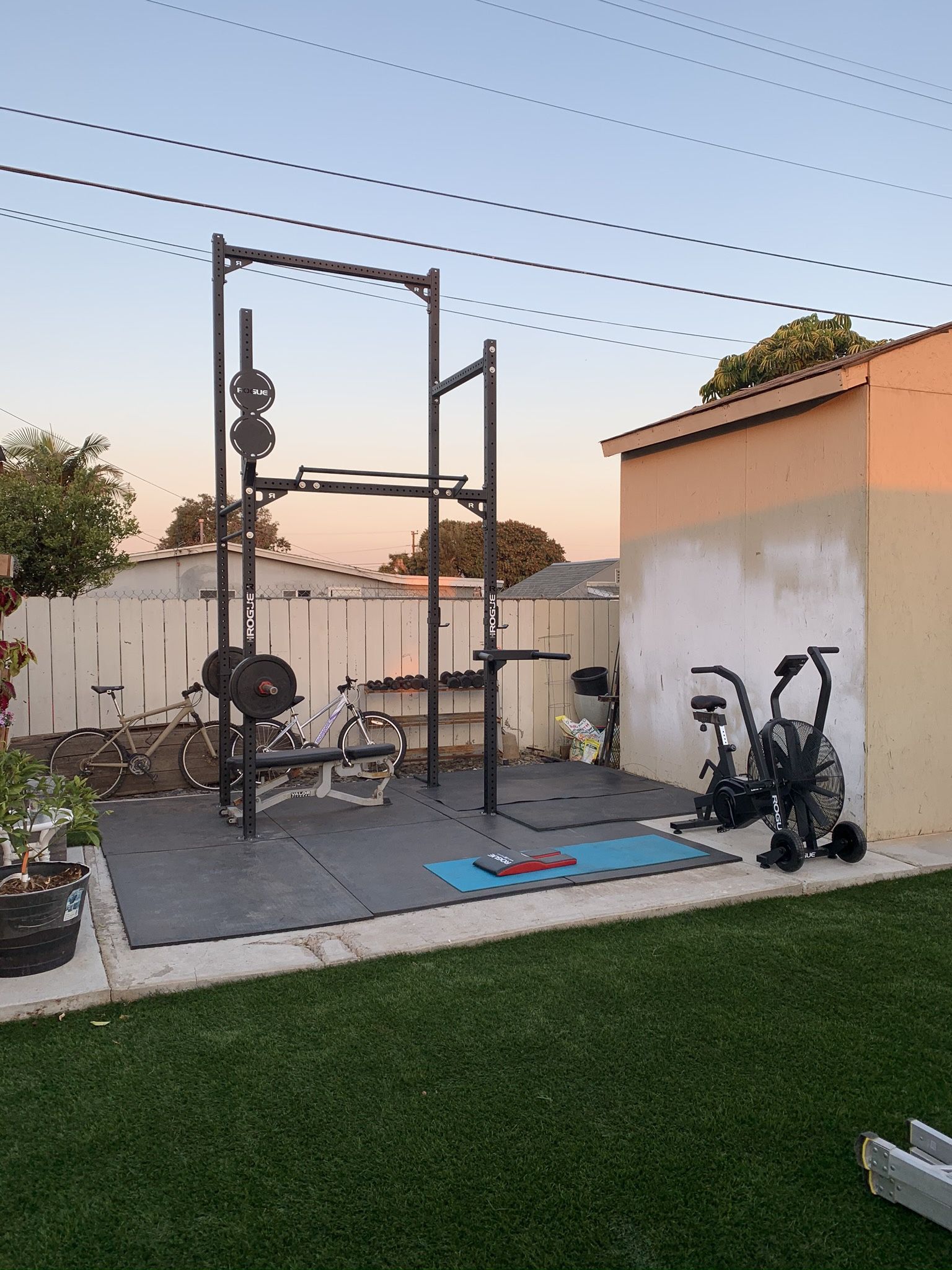 Rogue Fitness Rig