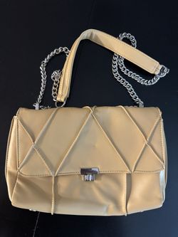 Zara purse