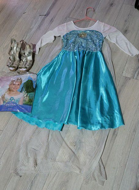 Elsa Costume, Wig and Shoes (1)