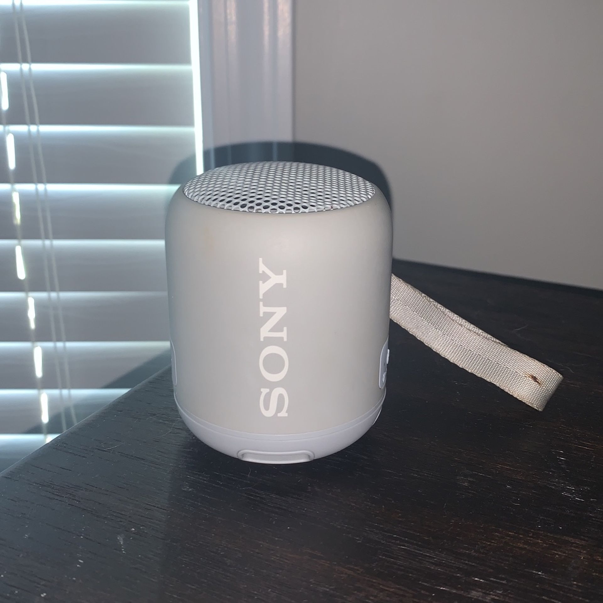Sony Bluetooth water proof speaker