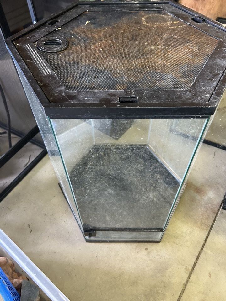 Terrariums For Sale 