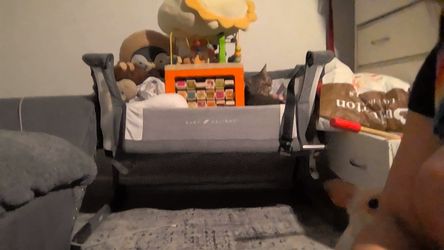 swing & bassinet set