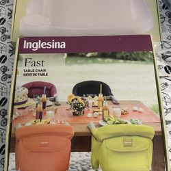 Table Chair With Dining Tray