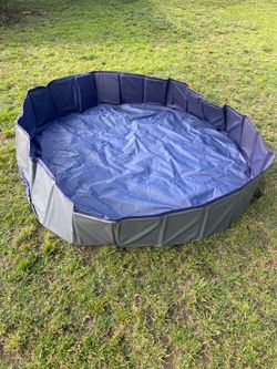 Dog pool
