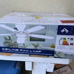 Ceiling Fan