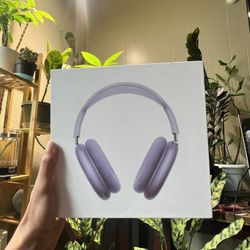 Apple Headphones 