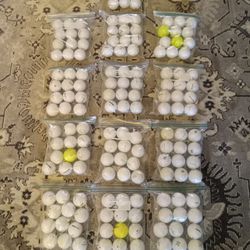 Used Golf Balls In Coral Gables