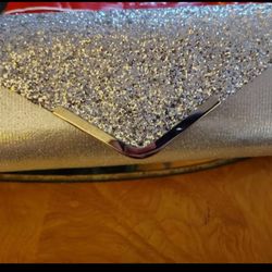 Silver Sparkle Clutch/Purse