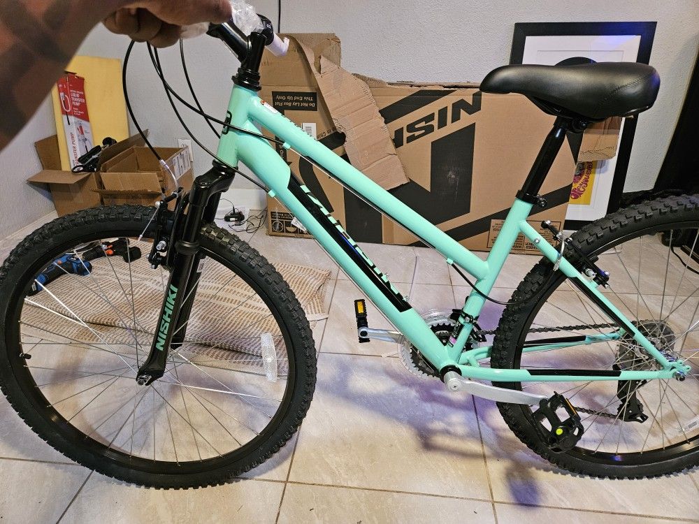 Mountain BIKE Nishiki 