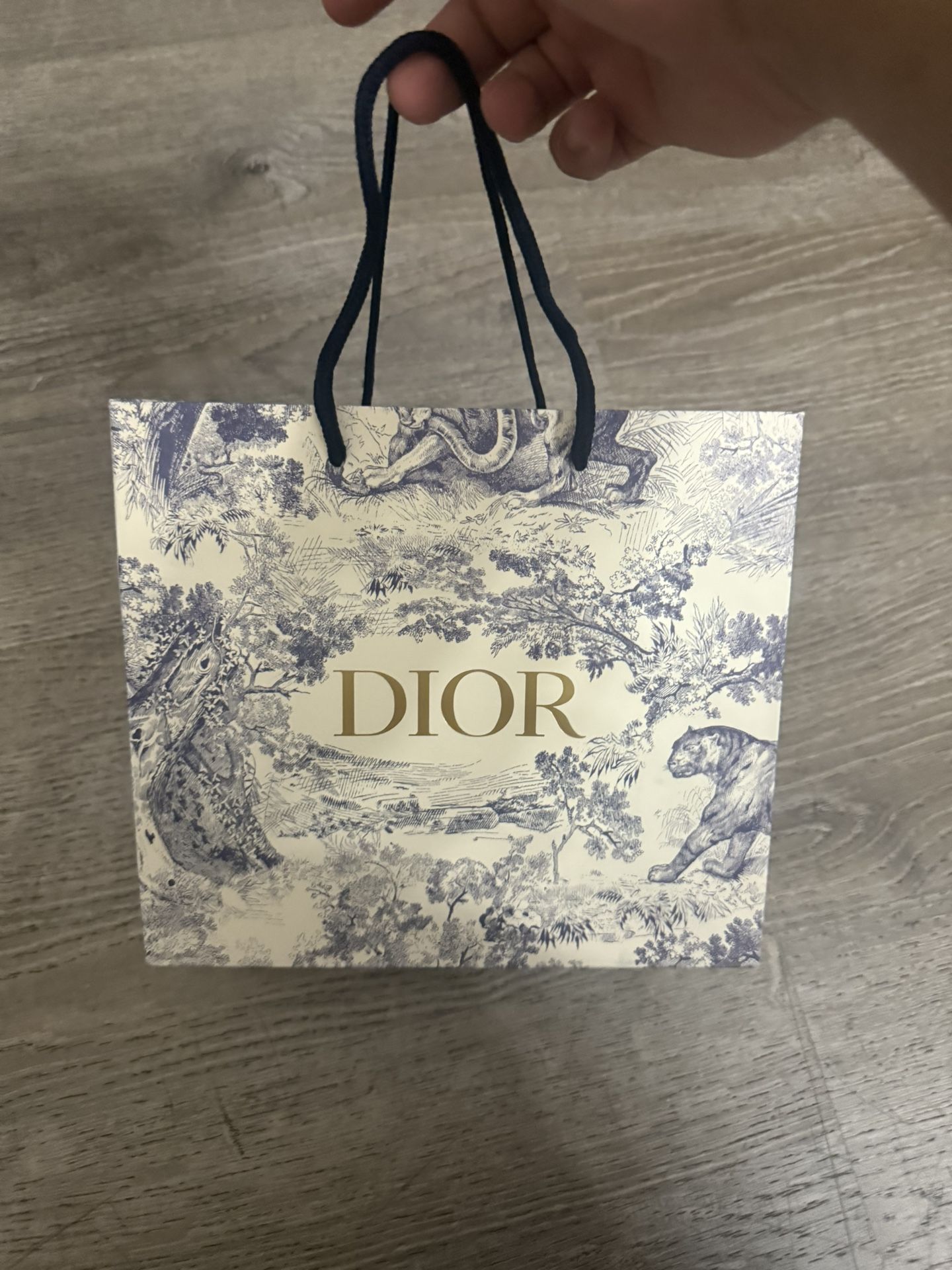 Dior Belt