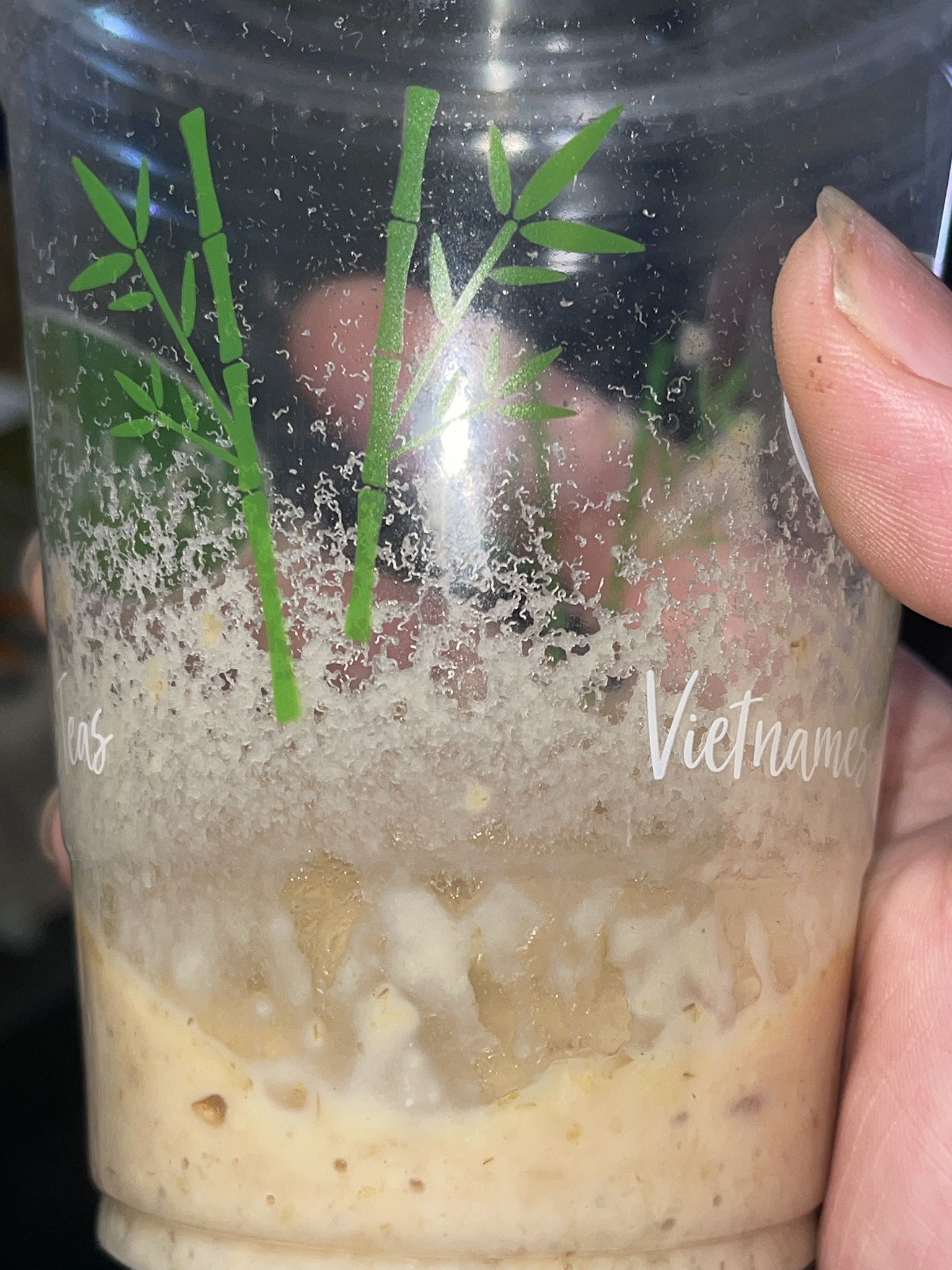 Micro Worm Starter Culture 🪱