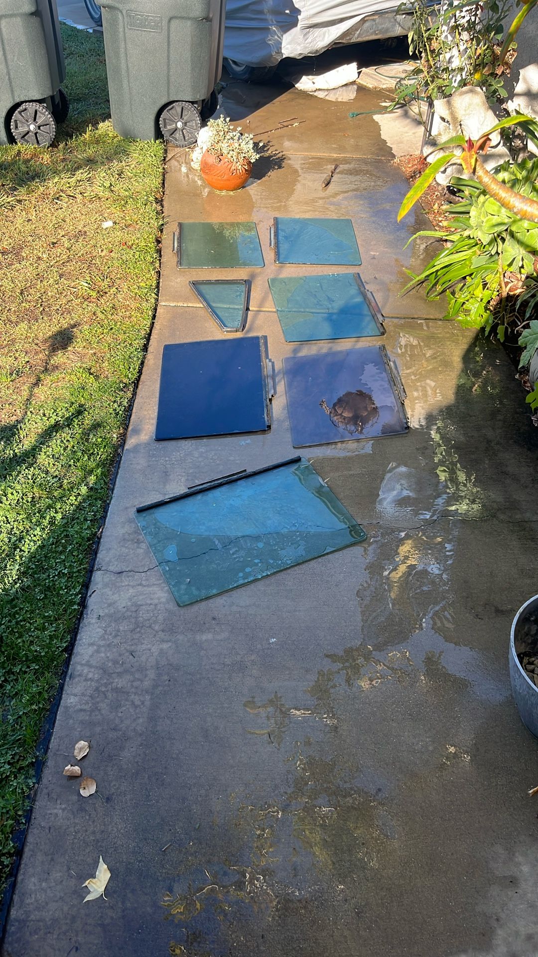 Chevy Nova Chevy 2 Glass 7 Pieces OEM