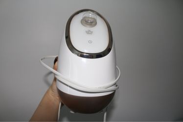 Facial Steamer