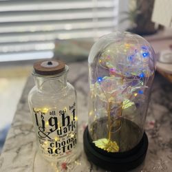 Lighted Decorative Glass Bottle & LED Rose Dome Set – Aesthetic Home Decor | Retails $37