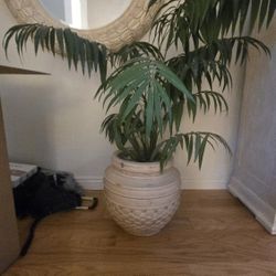 Decorative planer and plant