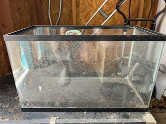 Fish Tank/terrarium