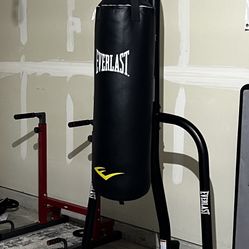 Punching bag. Boxing. 