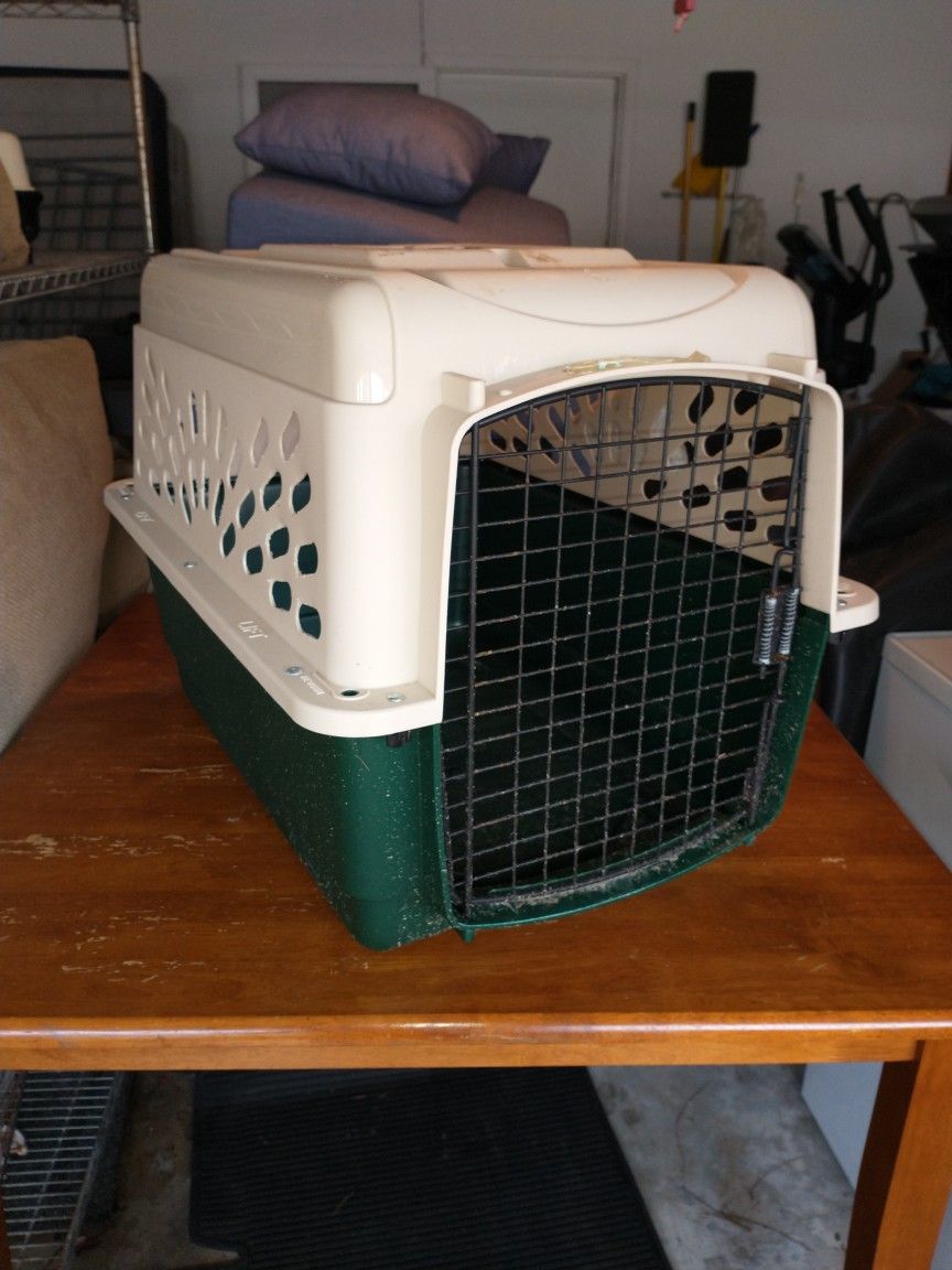 Pet Kennel