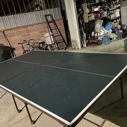 Ping Pong Table