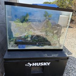 Fish Tank 