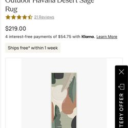 Rug Ruggable runner 2.5 × 10 cover only