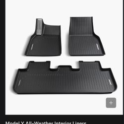 Model y All Weather Interior 