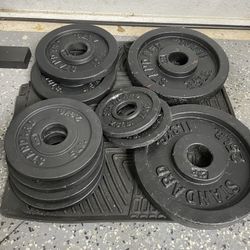 95lbs Olympic Bar Weights 