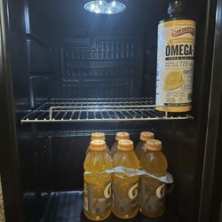 Mini Fridge 80 Can Capacity