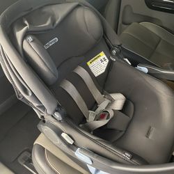 Primo Viaggio 4-35 Nido
