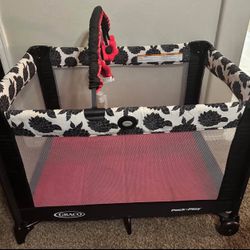 Pack N Play 