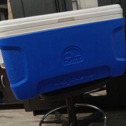Cooler Igloo