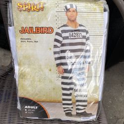 Jailbird Costume
