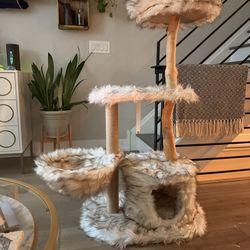 Cat condo