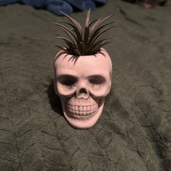 Skull Fake Plant 