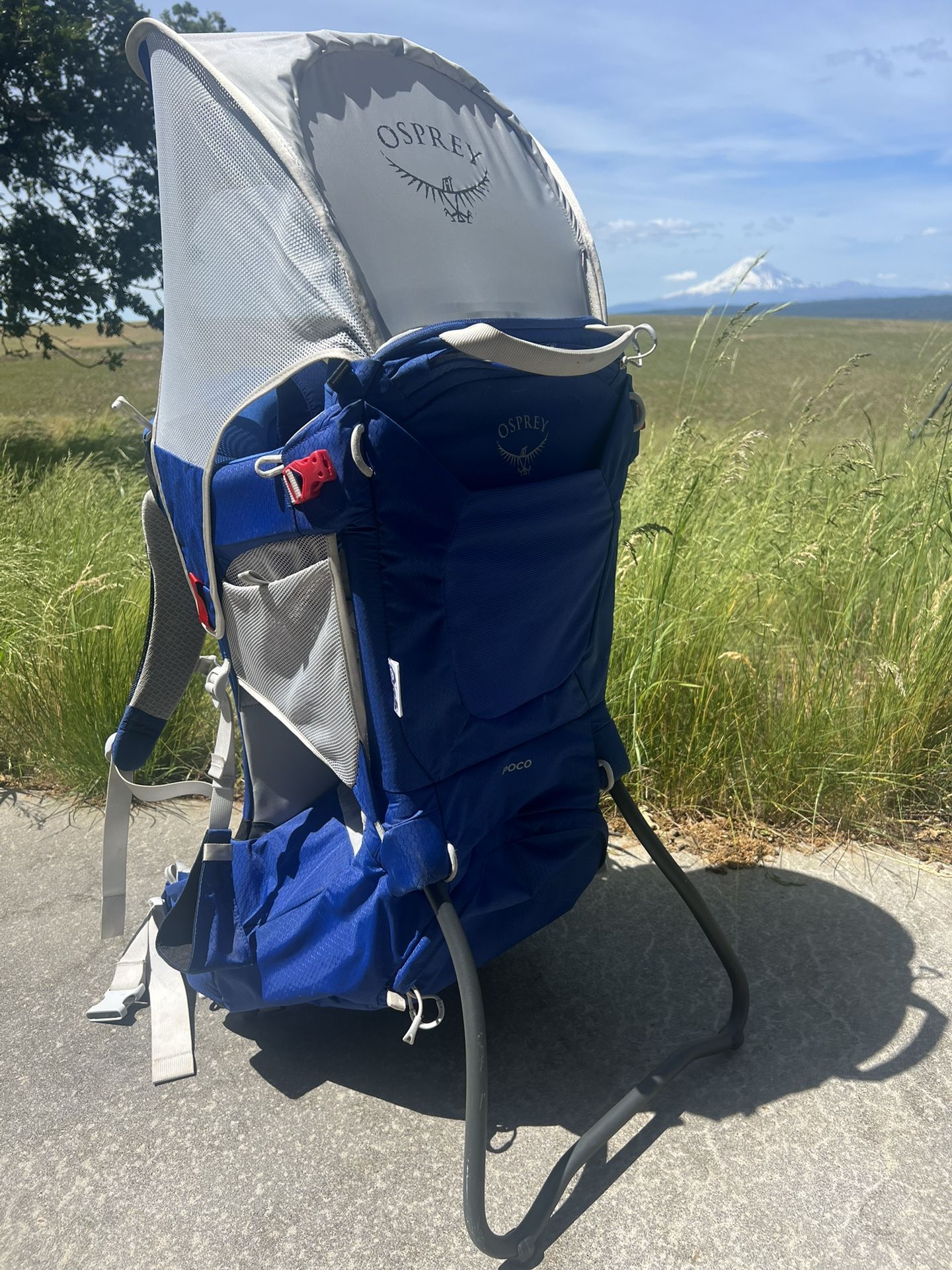 Osprey Poco Child Carrier