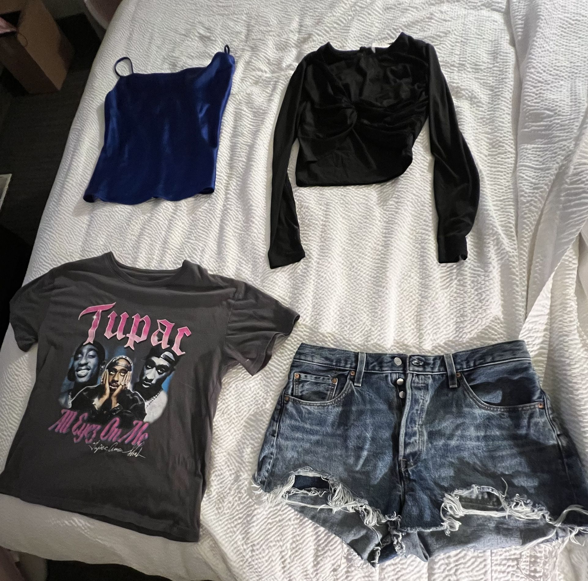 Bundle: Topshop Jean Jacket + Tupac Tee + Levi Shorts + Aritzia Dress + ASTR Top + Endless Rose Top