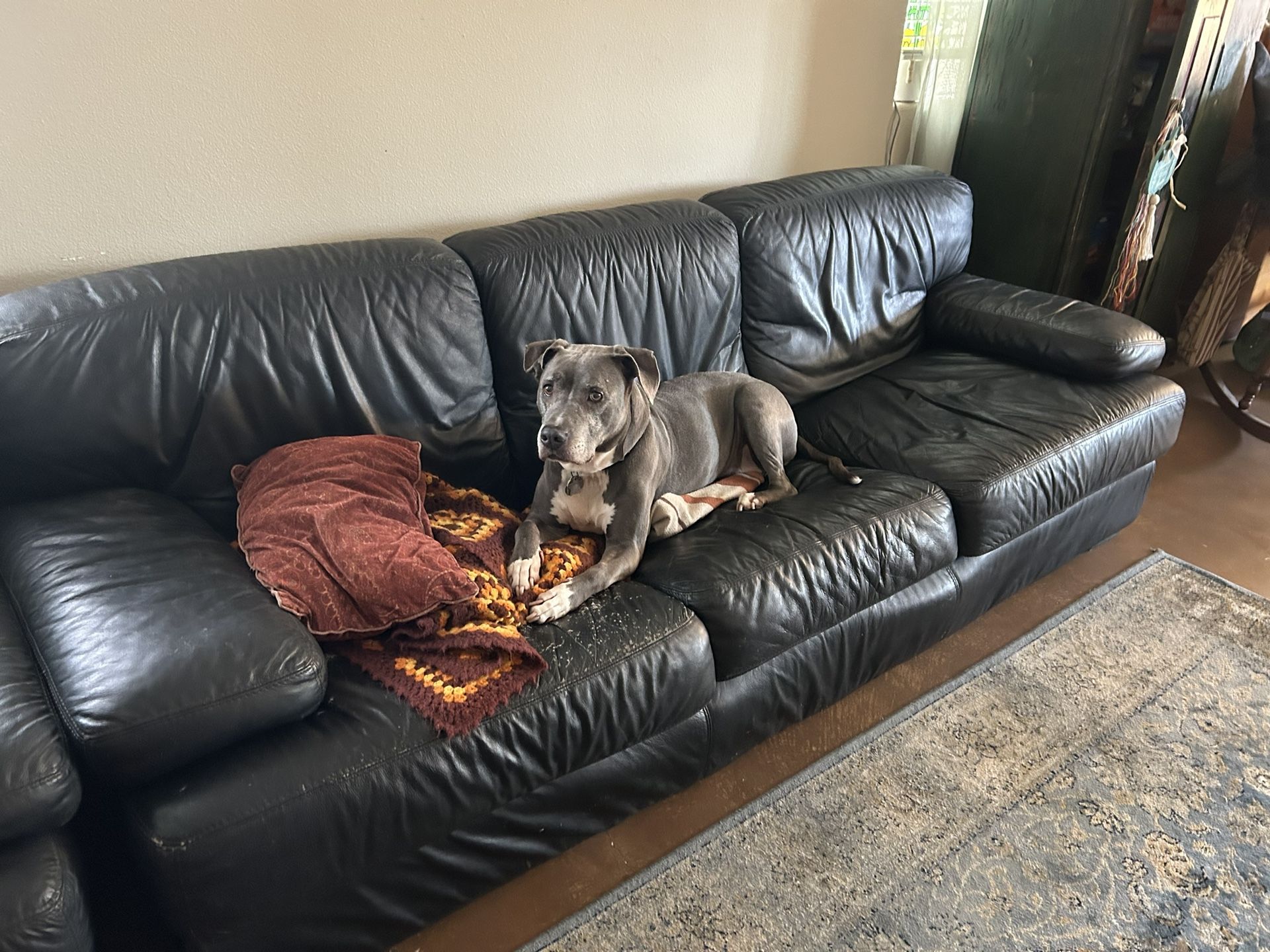 FREE - Real Italian Leather Couch (Well-Worn, Still Comfy)