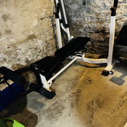 Nautilus NT 1430 Olympic Weight Bench - Can Deliver