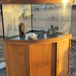 Corner Fish Tank 